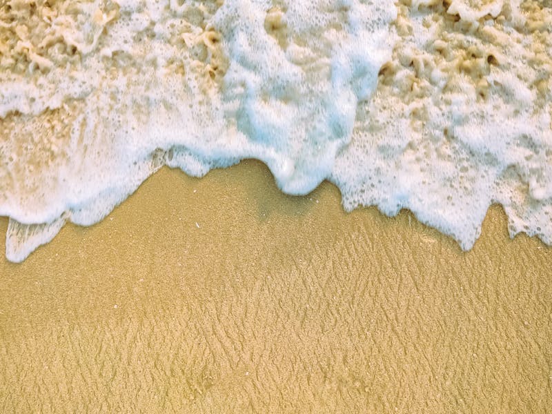 South India Heritage Tour With Wildlife Backwaters And Sunny Beaches - 12