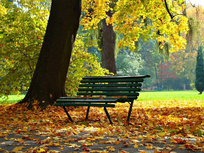 4 Nights Warsaw Palaces and Stately Krakow - 7