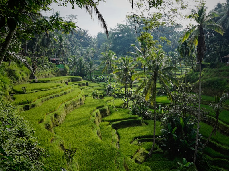 Luxury Malaysia, Singapore And Bali Rainforest And Beach Stay - 4