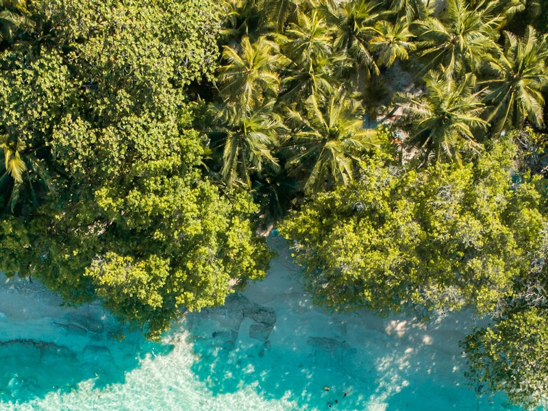 An Ultimate Getaway to Sri Lanka & Maldives - 5