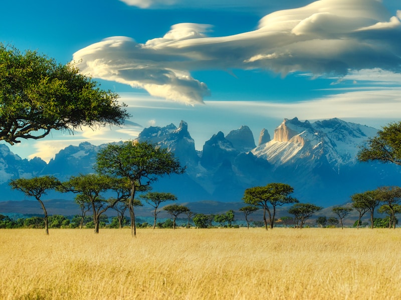 Explore Kenya’s Bush Beaches And Cities (Nairobi Mombasa) - 4
