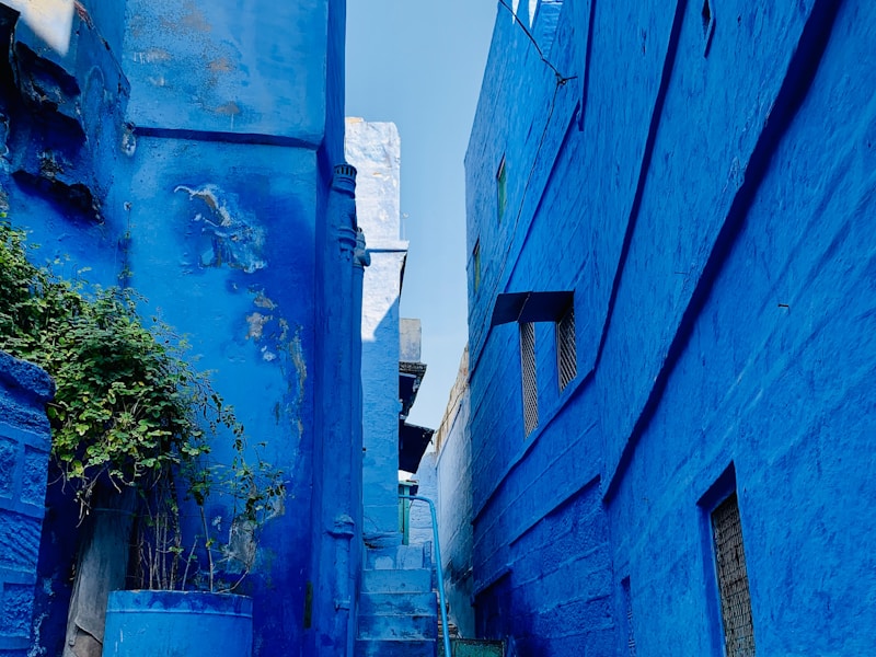 Royal Rajasthan Heritage Stay - 9