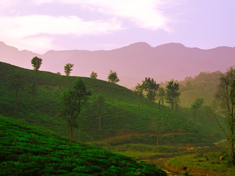 Single Traveller Southern India Explorer Trip - 6