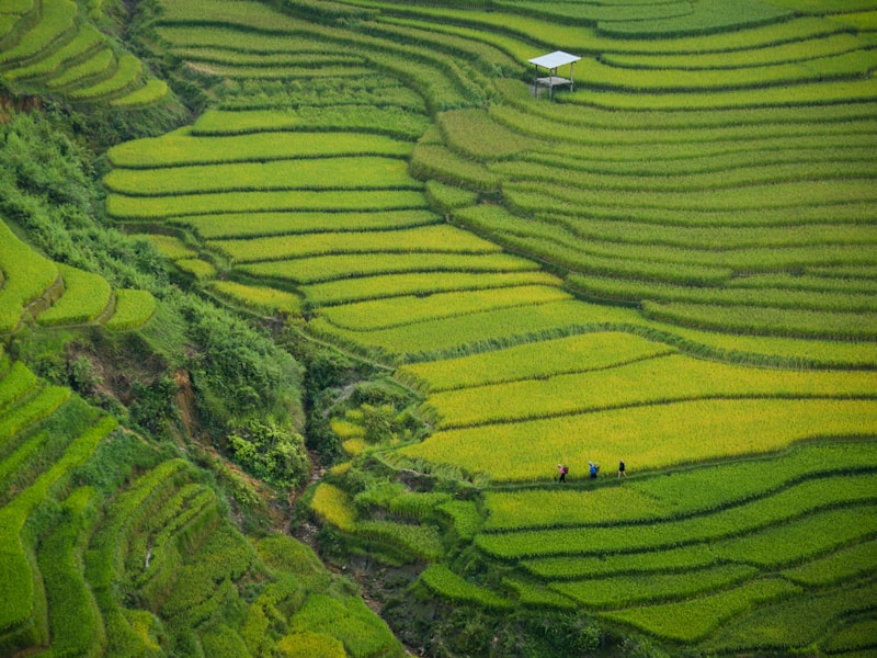 13 Night Solo Trip Southeast Asia: Thailand, Cambodia And Vietnam - 8