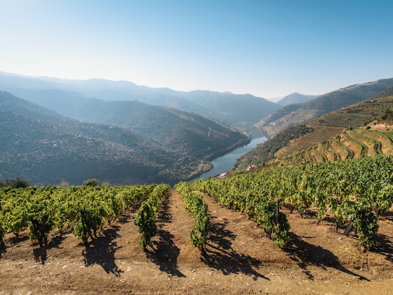 Discover two Portuguese pearls: Porto And Douro - 6