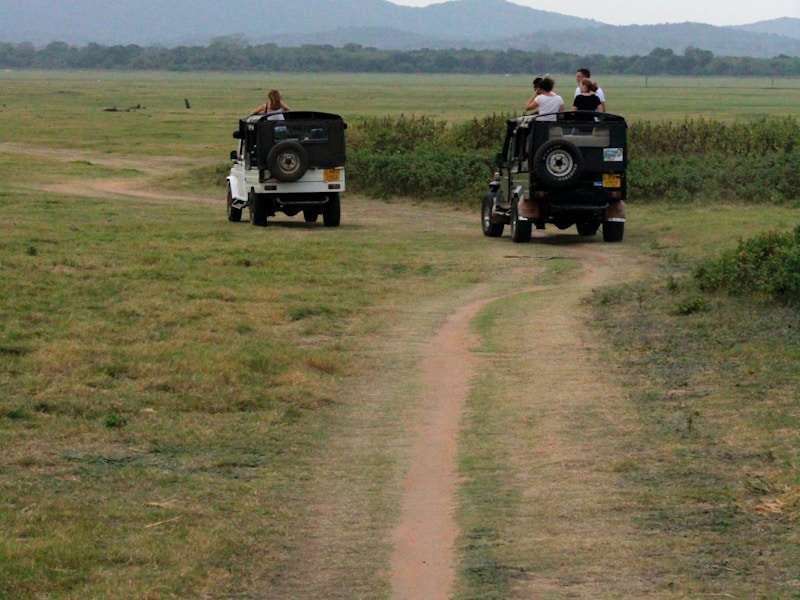 Sri Lanka Heritage Tea Trail Jungles and Beaches - 5