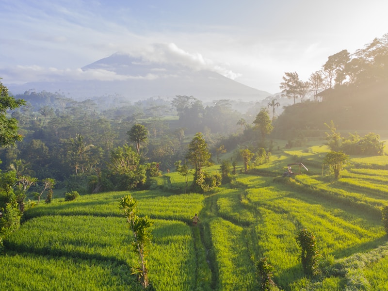 City Lights to Island Nights Bangkok Bali Lombok and Singapore - 4
