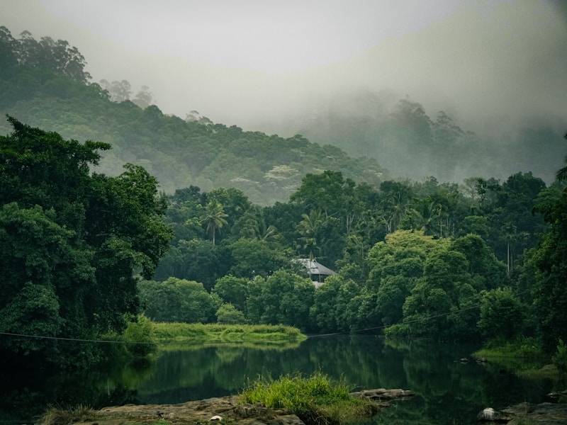 10 Nights Keralan Odyssey - 5