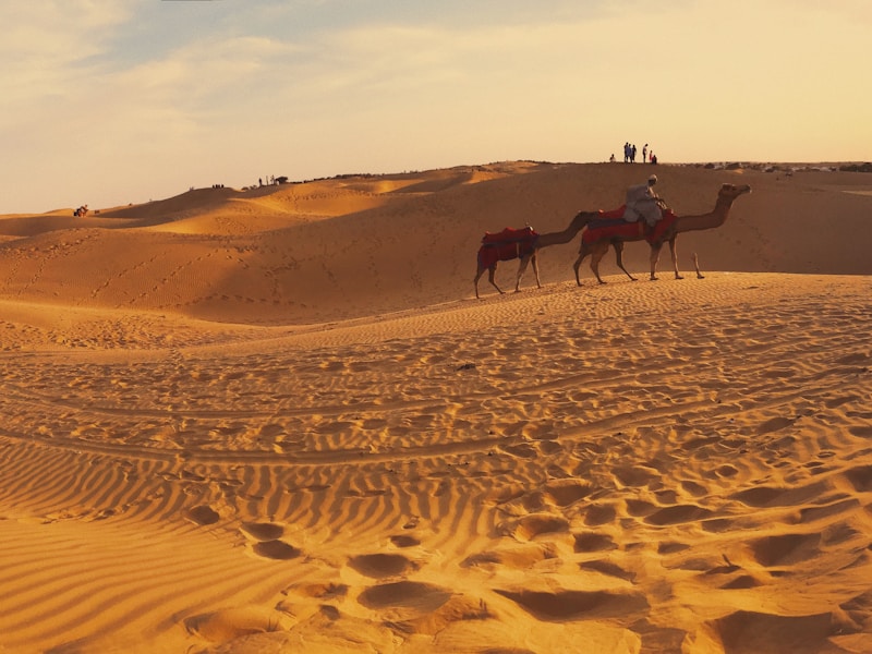 Royal Rajasthan Heritage Stay - 10