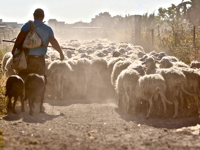 Rome to Sicily – A Mediterranean Journey - 1
