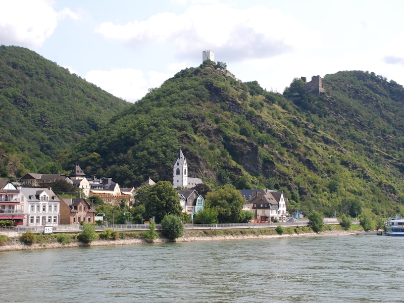 Rhine Main and Danube (Viva - Summer Magic from Basel to Vienna) - 5