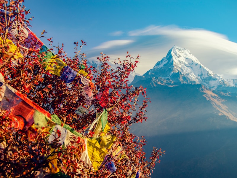 Spend 10 nights touring all of Nepal’s hot spots - 6