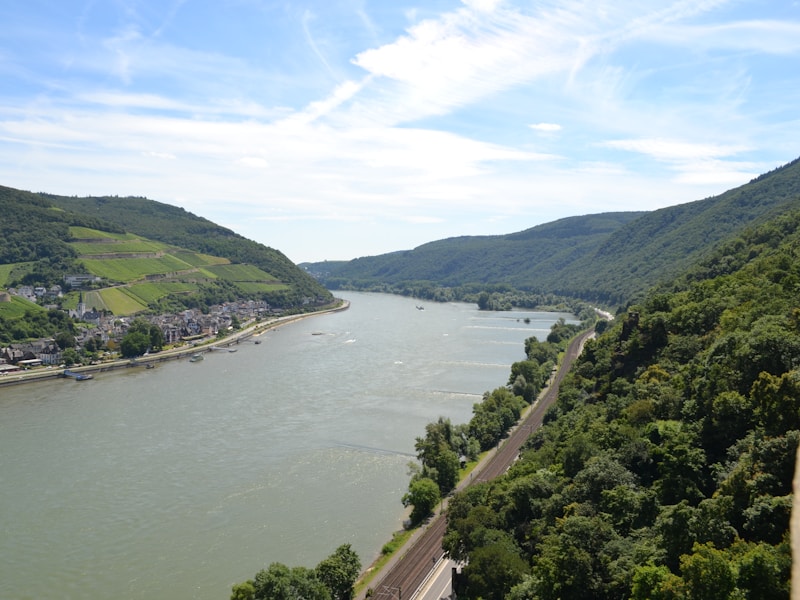 Rhine Main and Danube (Viva - Summer Magic from Basel to Vienna) - 6