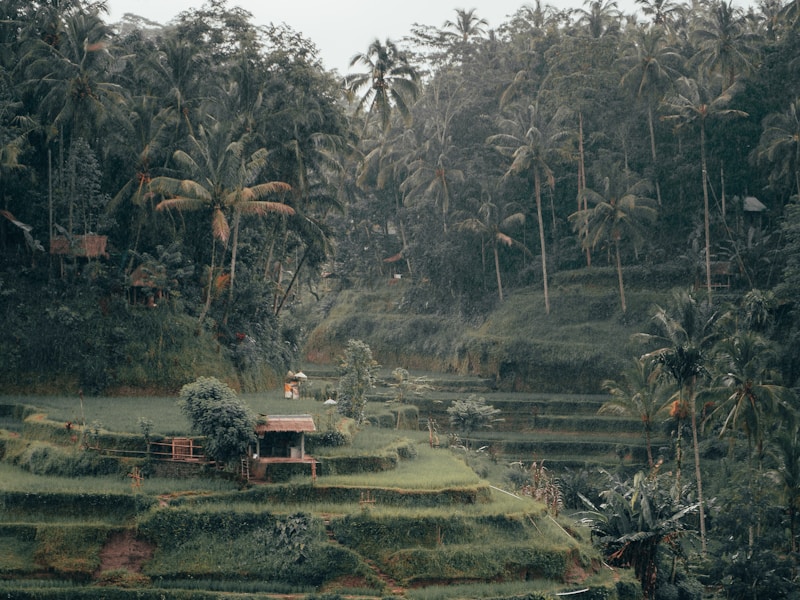 Luxury Singapore Bali Rainforest And Bangkok - 6