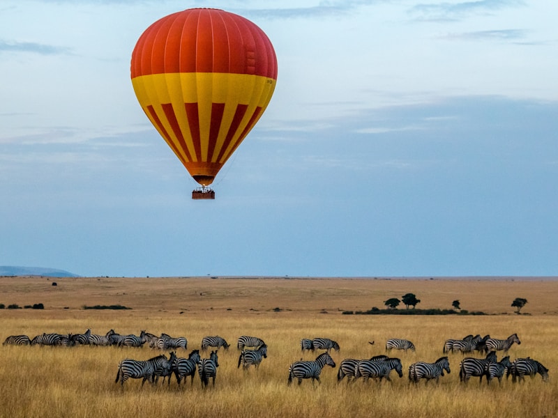 Explore Kenya’s Bush Beaches And Cities (Nairobi Mombasa) - 2