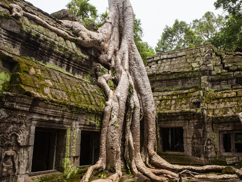 12 Days In Cambodia And Vietnam - 4