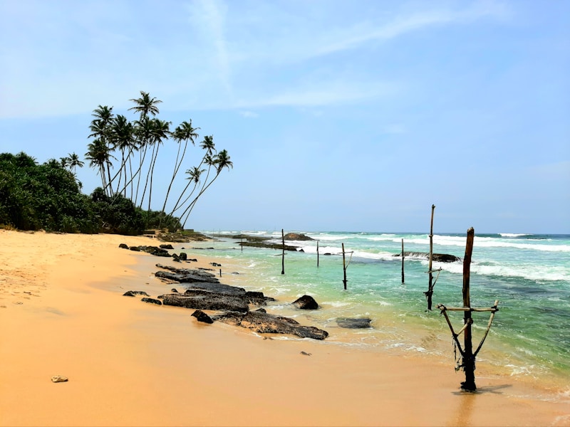 Sri Lanka Heritage Tea Trail Jungles and Beaches - 11