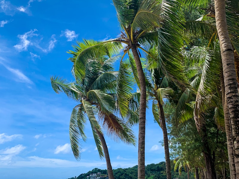 7 nights Split Between Bangkok And Phuket With City Sightseeing Tour - 7