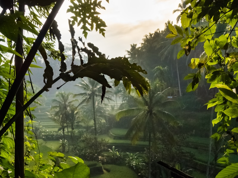 Luxury Hong Kong Kuala Lumpur & Bali - 8