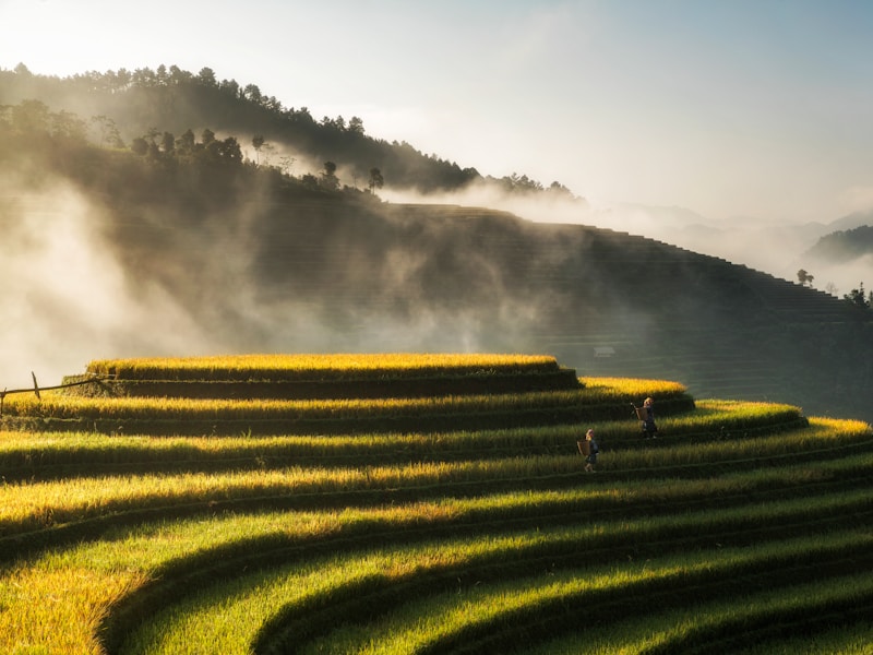 10 Nights Single Traveler Cambodia and Vietnam Trip - 8