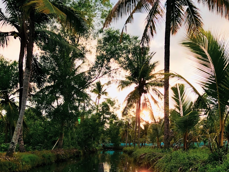 Kerala Holidays with Golden Triangle - 5