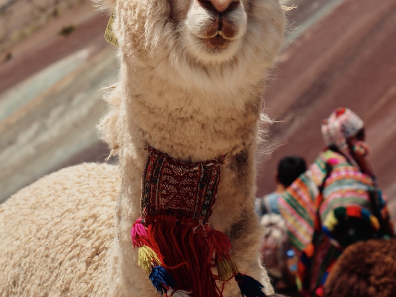 13 Days Classic Peru Holiday - 3