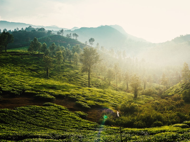 10 Days Charming North Kerala - 3