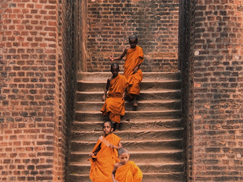 Singles Holiday to Sri Lanka with meals, excursions and flights - 3