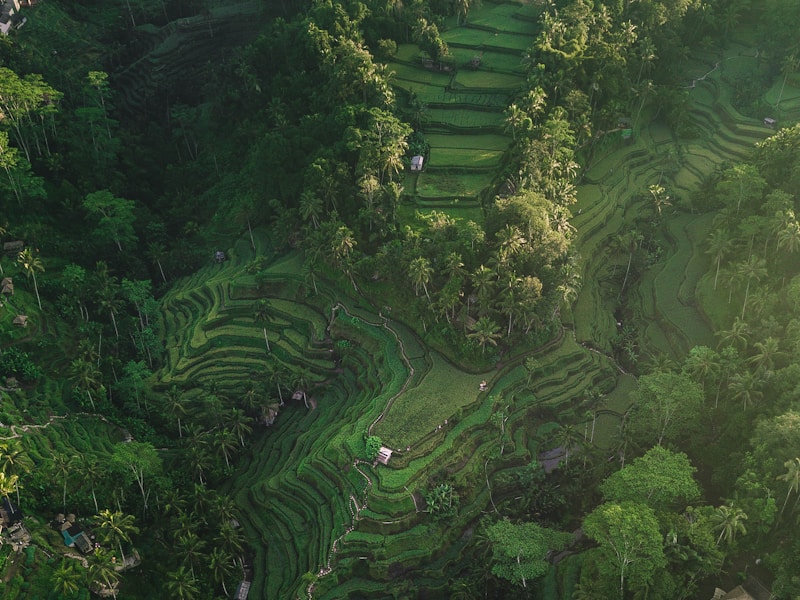 Luxury Singapore Bali Rainforest And Bangkok - 5