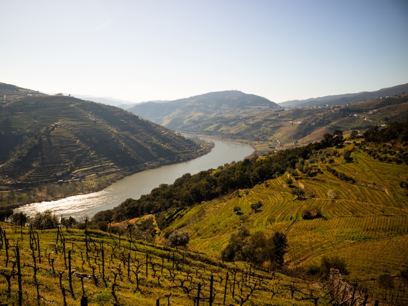 Discover two Portuguese pearls: Porto And Douro - 7
