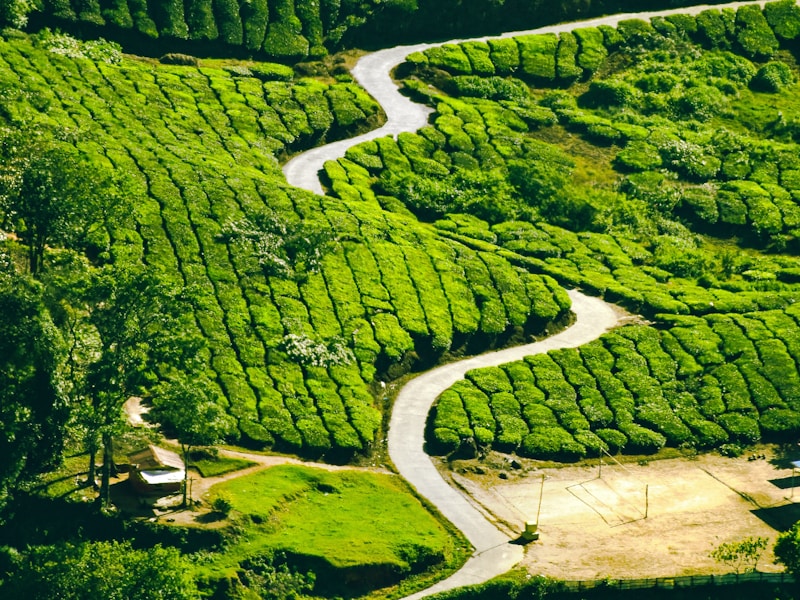 10 Nights Single Traveller Experience to Kerala - 3
