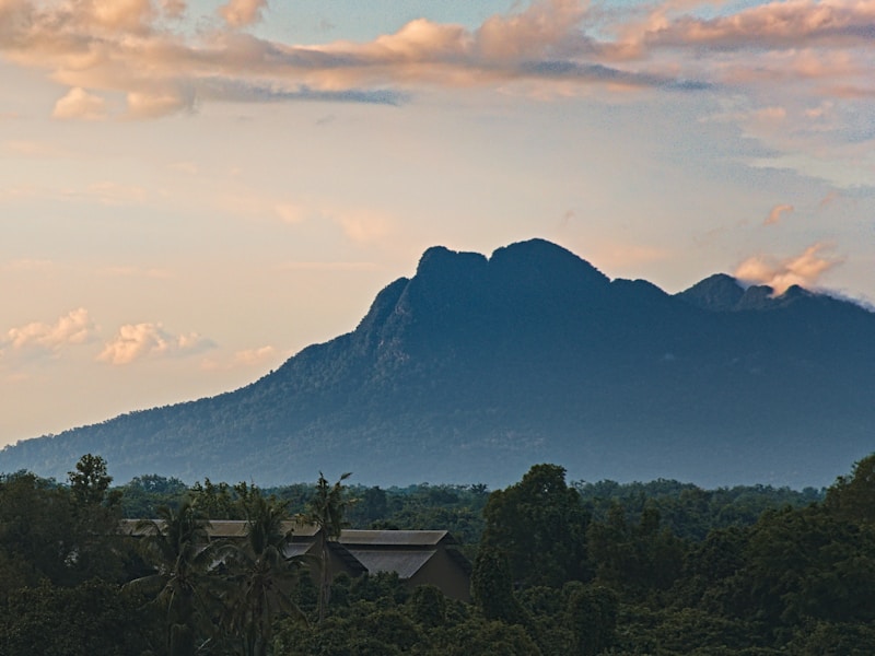 Malaysia Wonders Cities, Rainforests & Wildlife - 4