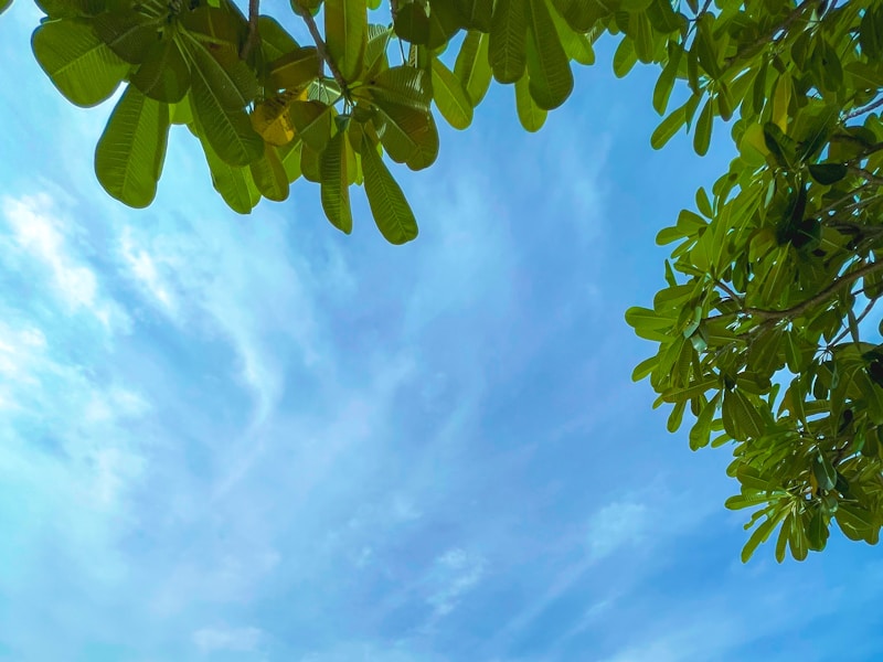 10 Days Getaway To The Exotic Islands of Thailand - 4