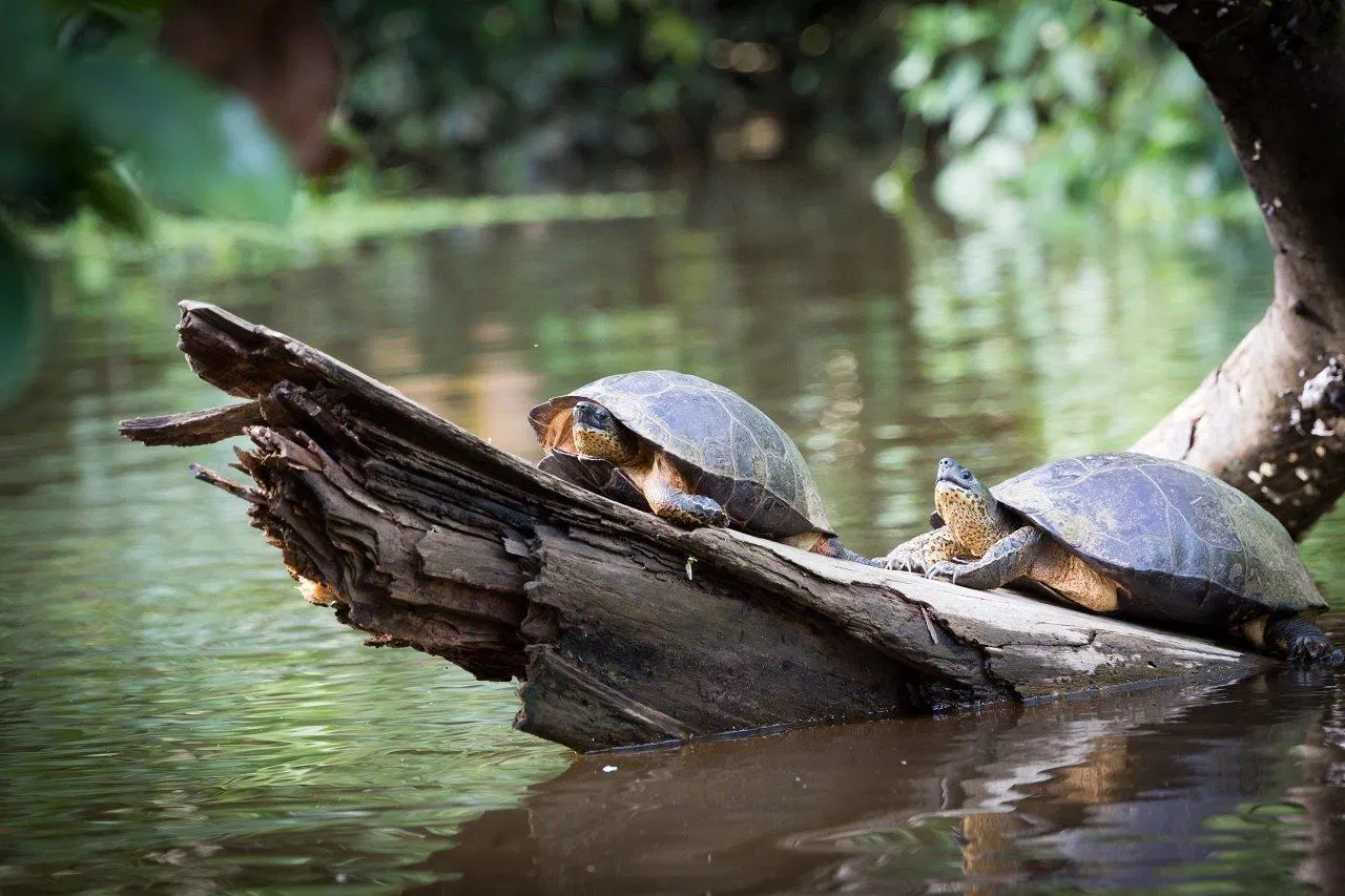 The Best of Costa Rica