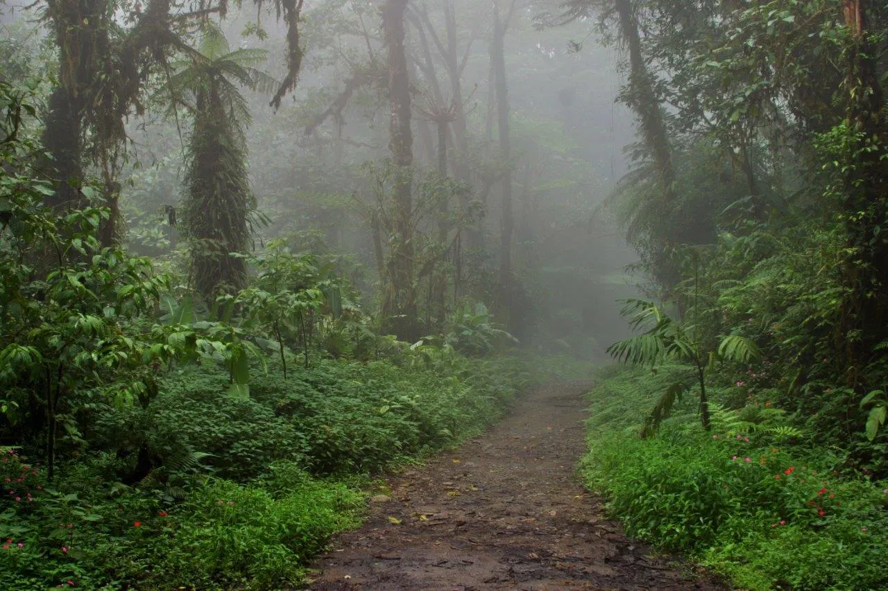 The Best of Costa Rica - 2