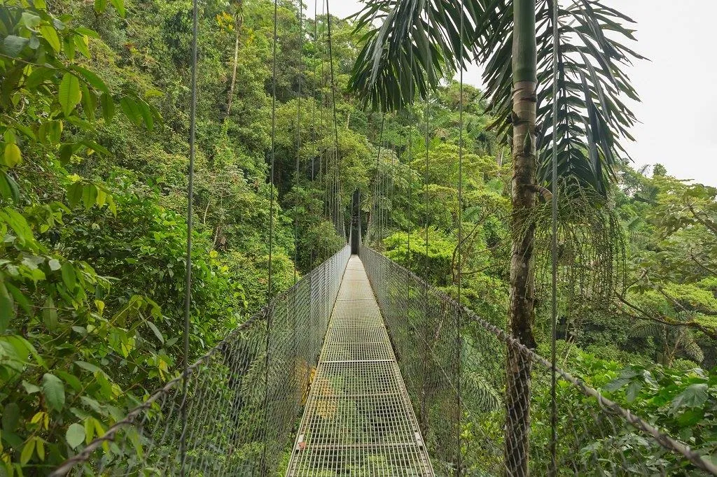 The Best of Costa Rica - 6