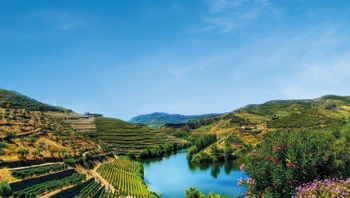 Portugal to Spain : Porto The Douro Valley And Salamanca Cruise - 4