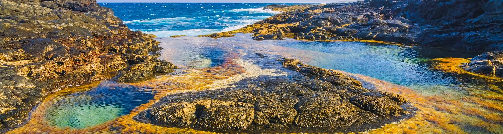 Cruise Through The Canary Island Archipelago, Eternal Springtime
