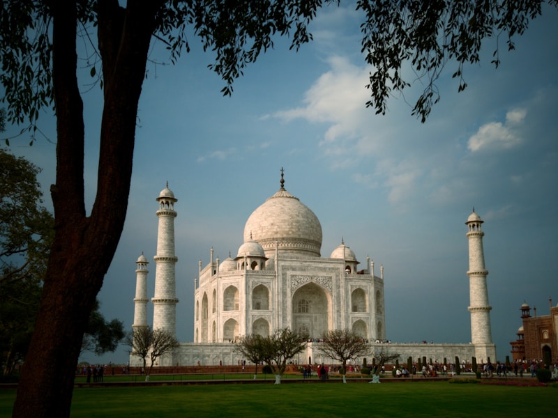 Single Traveller Golden Triangle Tour With Tiger Safari And Beach Stay - 2