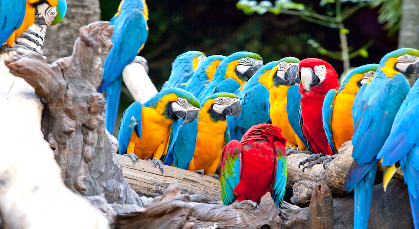 Single Traveller Amazing Costa Rica - 2