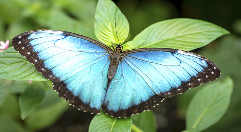 Single Traveller Amazing Costa Rica - 5