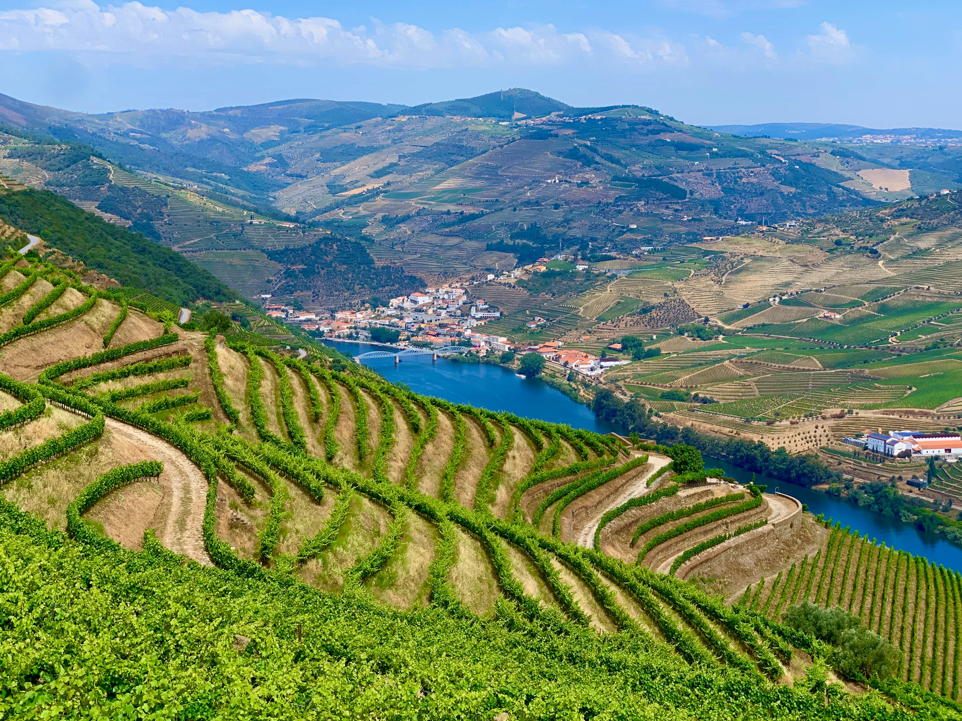 Explore The Charm Of Portugal On A Douro River Cruise