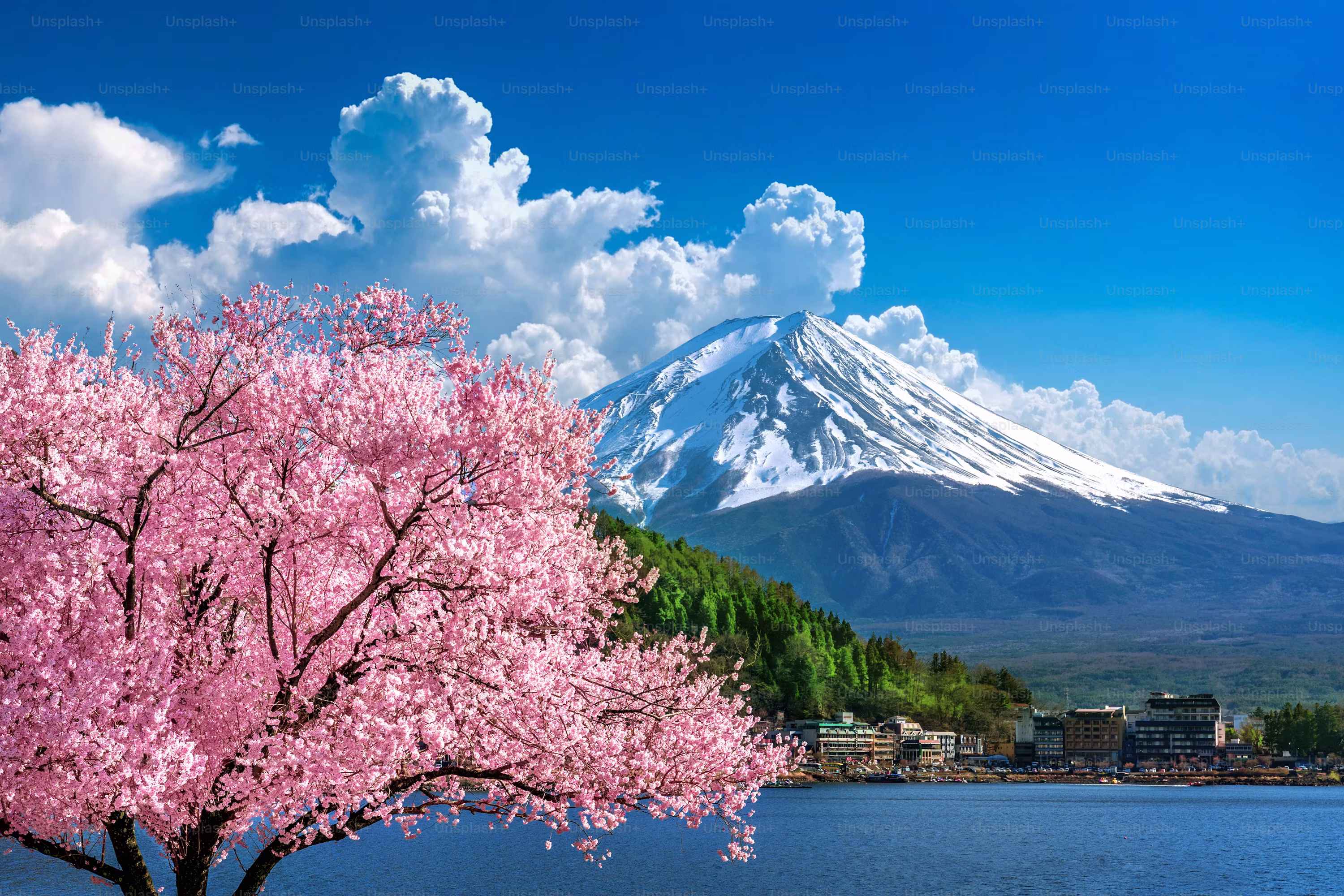 Japan & Bali Escape City Lights and Island Paradise