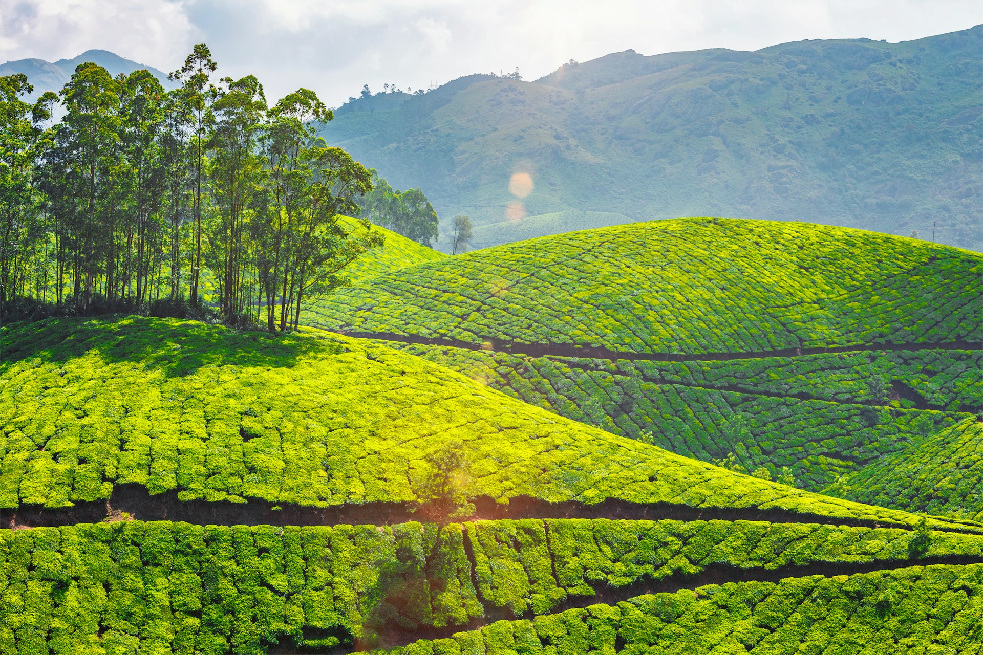 Boutique Kerala: River, Tea Trails, Spice and Backwaters | 9 Nights ...