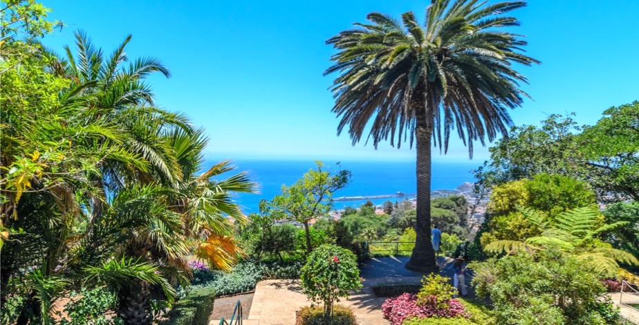 Enjoy Holiday In Madeira On Half Board Basis With Transfers - 13