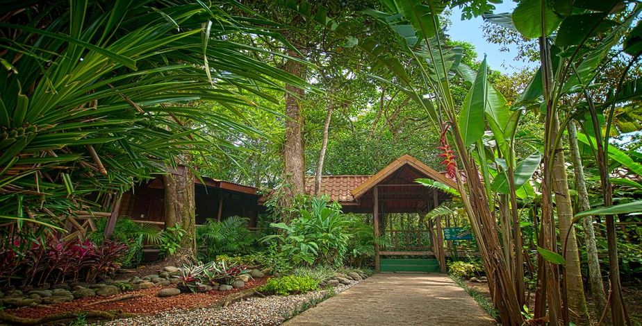 Pachira Lodge, Tortuguero - 4