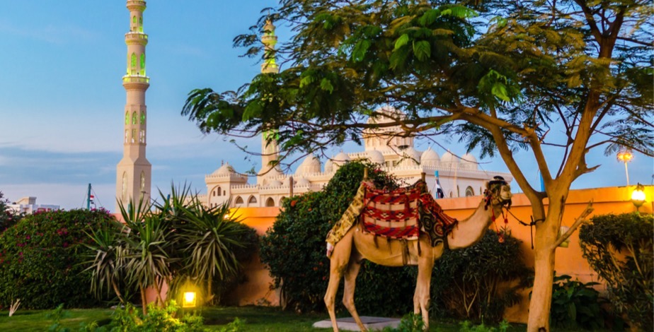Luxury All Inclusive Hurghada Stay - 13