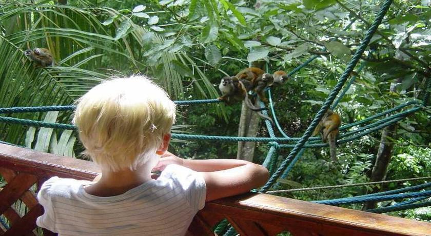 Jungle Villa Resort, Chitwan - 7