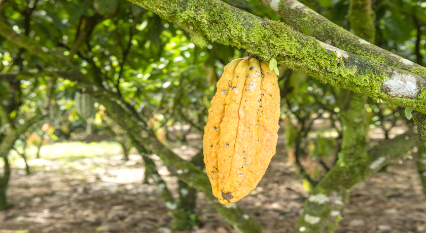 Amazing Costa Rica - 18