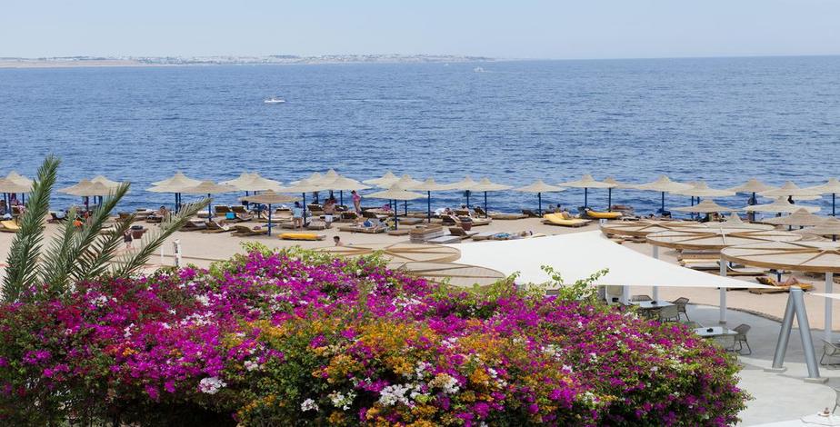 Amphoras Aqua Hotel (Ex. Shores Golden) - 3